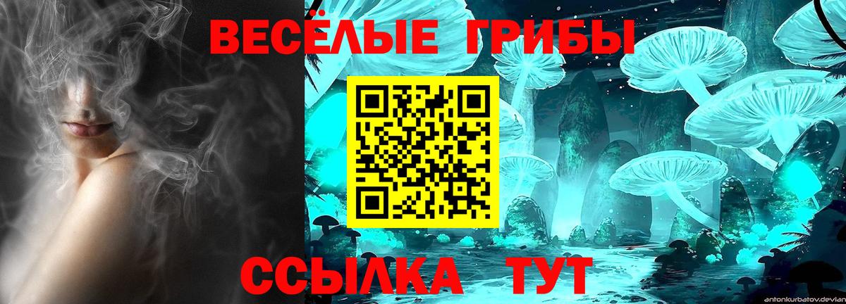 Борисоглебск  Галлюциногенные грибы Cubensis  Галлюциногенные грибы мицелий  Вход с VPN 